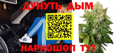 Альфа ПВП Кингисепп