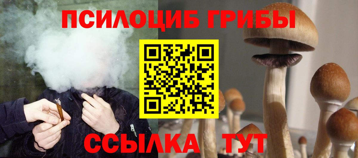 Галлюциногенные грибы мицелий Канаш